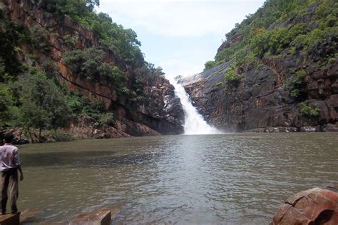 Nallamala Hills A Dense Forest Of Andhra Pradesh