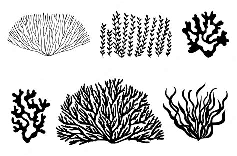 Premium Vector Sea Corals And Seaweed Black Silhouette Vector Isolated