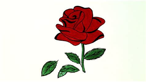 How To Draw Red Rose लाल गुलाब कैसे बनाये How To