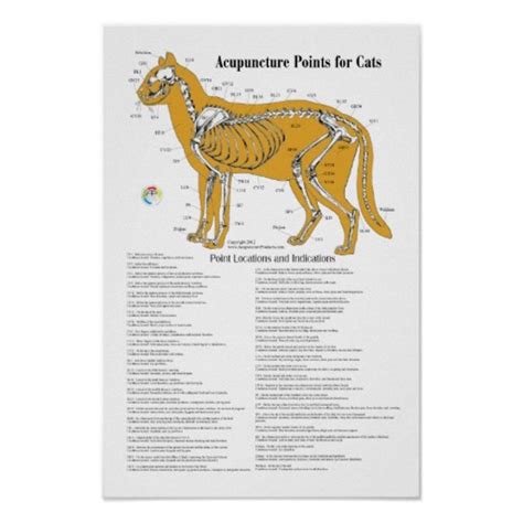 Acupressure For Pets Acupuncture Points Chart Acupuncture Acupressure