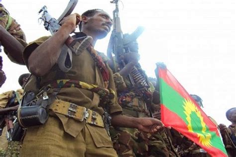 At Least 50 Killed In Ethiopias Oromia Region Rights Body Region