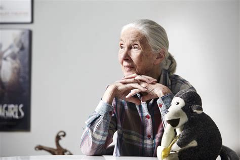 8.7/10 (18 votes) | release type: Dr Jane Goodall on her international youth-led action ...