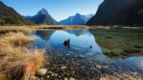 Free Download Milford Sound New Zealand Wallpaper Widescreen Hd Gnome