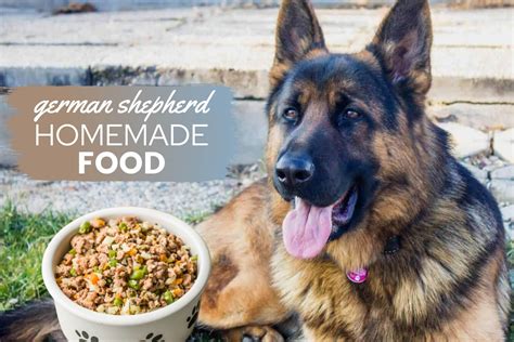 What Food Is Good For German Shepherds Fh Information
