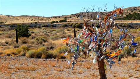 Junk Tree Nevada State Route 233 Near Montello Nevada Flickr