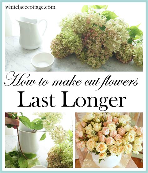 How To Make Cut Flowers Last Longer White Lace Cottage