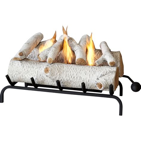 Real Flame 24 Conversion Gel Fuel Log Set And Reviews Wayfair