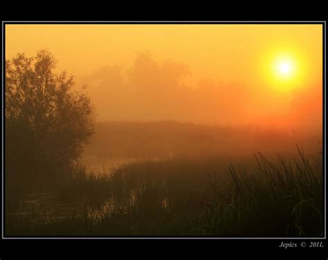Marsh Mist Picture Post Flickr