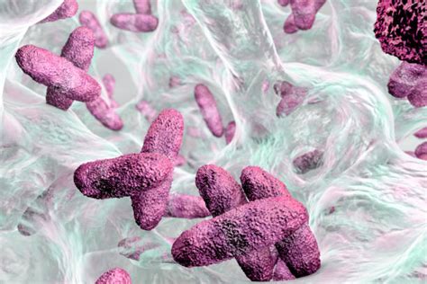 Klebsiella Pneumoniae Stock Photos Pictures And Royalty Free Images Istock