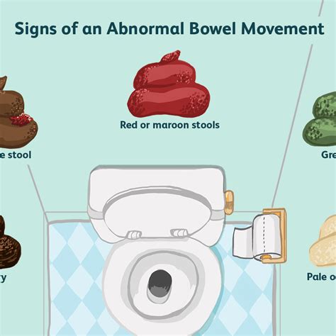 What Does A Normal Bowel Movement Look Like