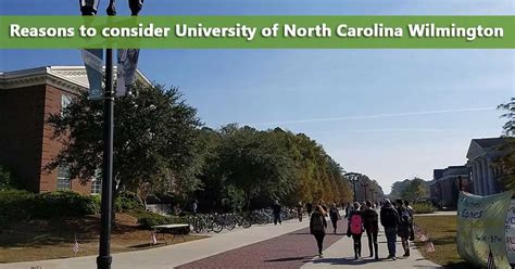 50 50 Profile University Of North Carolina At Wilmington Do It