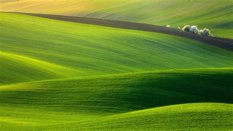 Green Hills Wallpaper 73 Images