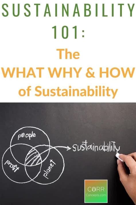 Sustainability 101 For Sustainable Living Corr Concepts Video