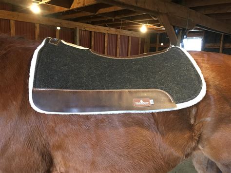 Product Review Classic Equine Biofit Correction Fleece Pad Horse Nation