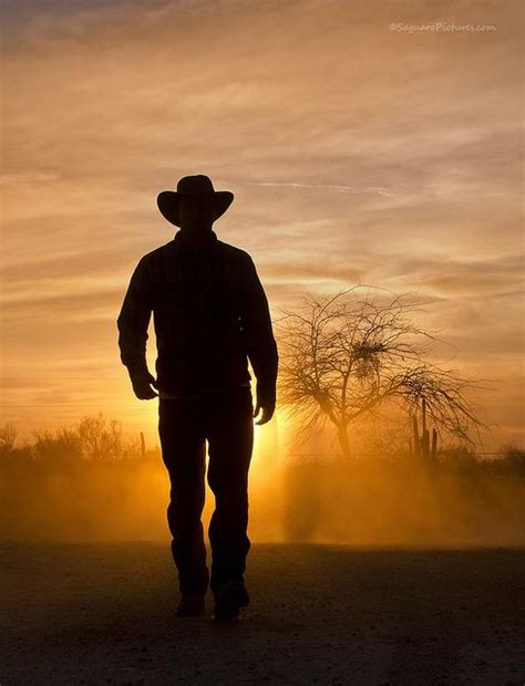 Cowboy Sunset Cowboy Art Western Life Real Cowboys