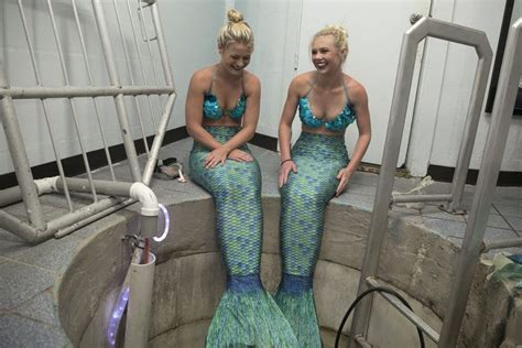 Ever Wonder How To Become A Mermaid You Can With This Job