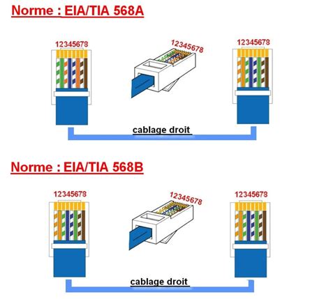 R Seau Le C Blage Ethernet En Entreprise Bicomm Informatique