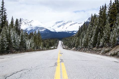 Wallpaper Trees Nature Snow Winter Road Mountain Pass Alps