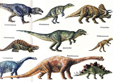 Фото Динозавров С Названиями Для Детей Telegraph