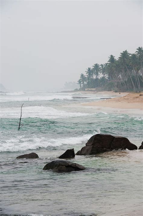 View Of Beach And Palm Trees In Weligama South Coast Sri Lanka