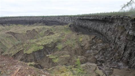 In The Yakut Basin Have Discovered An Ancient Vegetation Earth