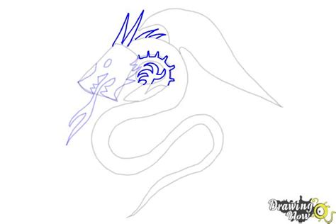 How To Draw A Dragon Tribal Tattoo
