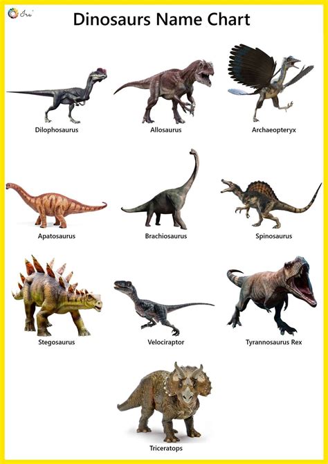 Dinosaurs Names In English Pictures Videos Charts Ira Parenting