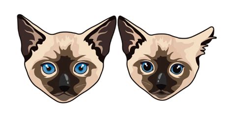 Siamese Cat Png Transparent Images Png All