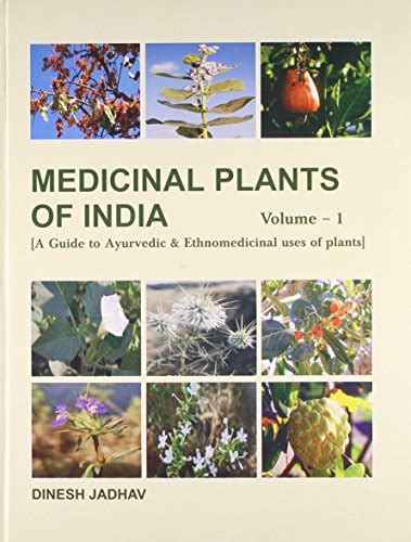 Medicinal Plants Of India A Guide To Ayurvedic And Ethnomedicinal