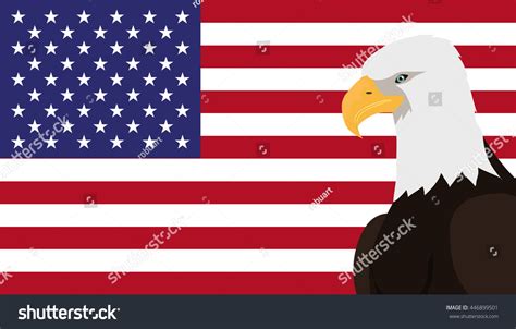 Bald Eagle Usa National Bird Symbol Stock Vector Royalty Free
