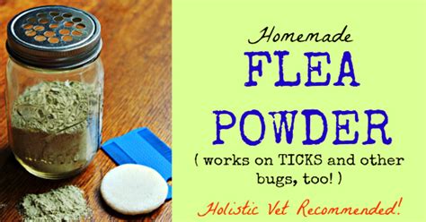 Kill Fleas And Other Insects Naturally With This Homemade Flea Powder