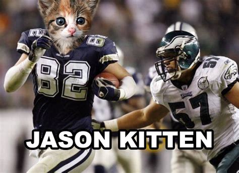 19 Cat Memes Dallas Cowboys Factory Memes