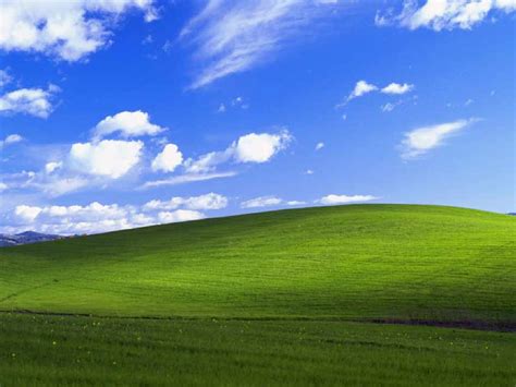 🔥 49 Windows Xp Bliss Wallpaper Now Wallpapersafari