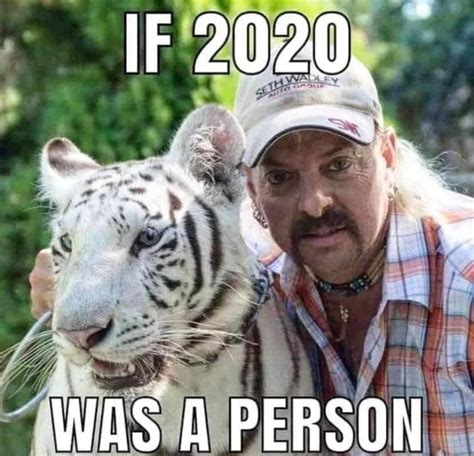 Funny Tiger King Memes About Joe Exotic And Carole Baskin