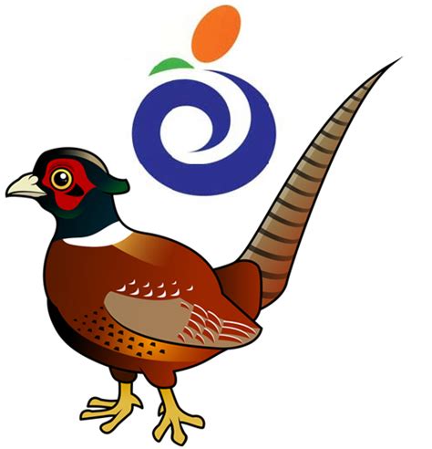 Pheasant Cartoon Clipart 10 Free Cliparts Download Images On