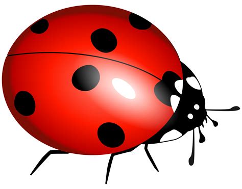 Free Lady Bug Download Free Lady Bug Png Images Free Cliparts On
