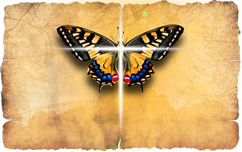 Butterfly Cross Svg 204 Religious Butterfly Cross Svg Svg Png Eps Dxf
