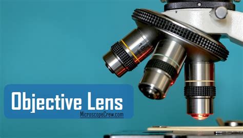 Types Of Microscope Lenses How They Work Microscope Crew