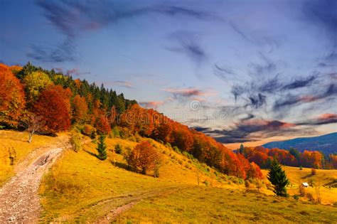 Colorful Autumn Landscape In The Mountain Village Foggy Morning Stock