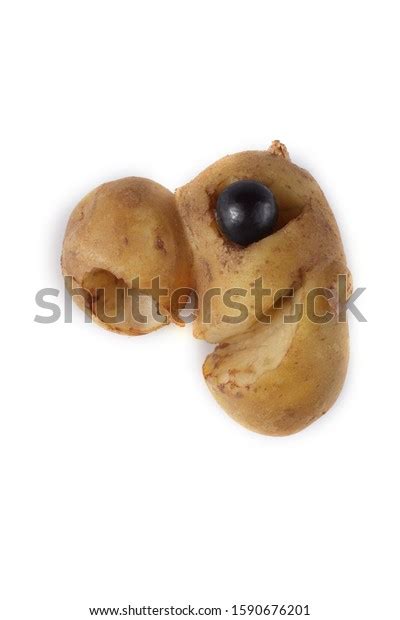 Funny Potato Head Isolated On White Stock Photo 1590676201 Shutterstock