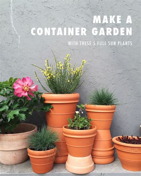 Make A Container Garden Artofit