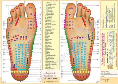 Foot Acupuncture Points Chart Bing Images Traditional