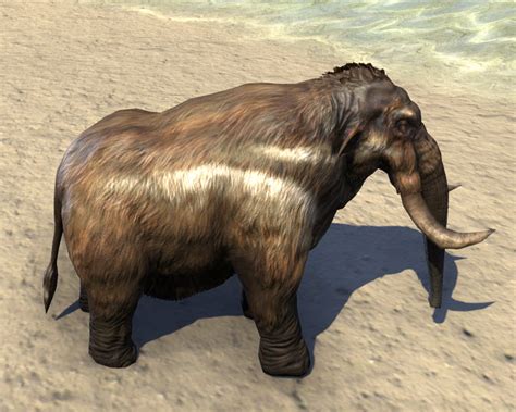 Eso Fashion Pocket Mammoth Elder Scrolls Online