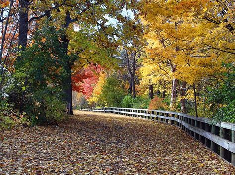 Hd Wallpaper Appleton Wi Telulah Park Hike Autumn Color Leaves