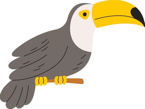 Premium Vector Toucan Sitting On Twig