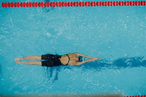 Young Woman Swimmer Swims In Swimming Pool Stock Image Image Of
