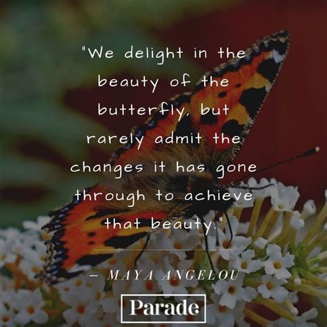 100 Butterfly Quotes Quotes About Butterflies Butterfly Quotes