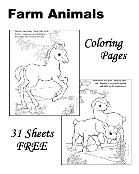 Realistic Farm Animal Coloring Pages Printable Farm Animal Coloring
