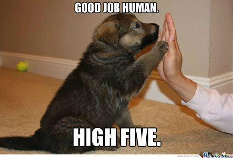 Maybe you would like to learn more about one of these? Congratulations Puppy. | Job memes, Good job, Dog memes