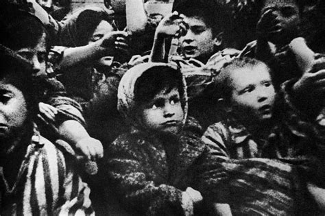 Enfants D Auschwitz